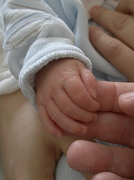 Loris Lennon (16-12-09) 007.jpg - OLYMPUS DIGITAL CAMERA         